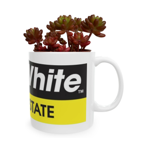 Custom Plant Gift | Coffee Mug With Succulents
